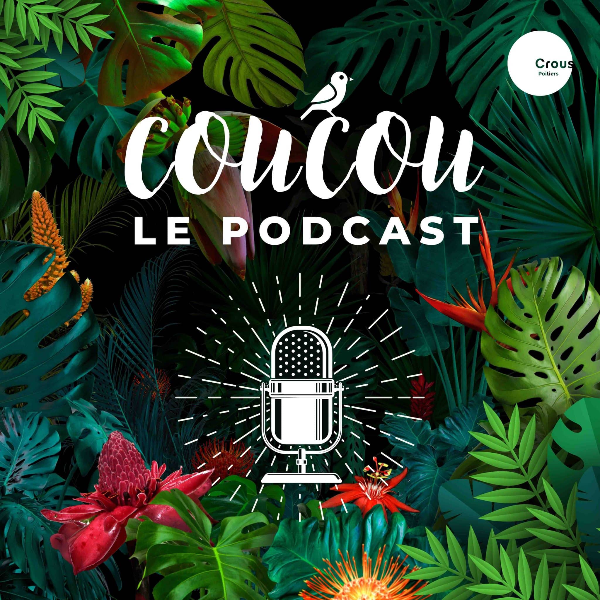 COUCOU PODCAST 1 scaled